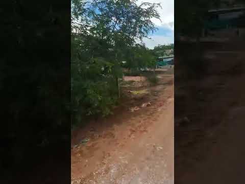  1900m2 - video