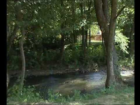 Curtea Nagy Lak III-VII - www.vileharghita.ro