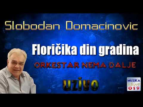 Slobodan Domacinovic - Floricika din gradina UZIVO // MuzikaUzivo019