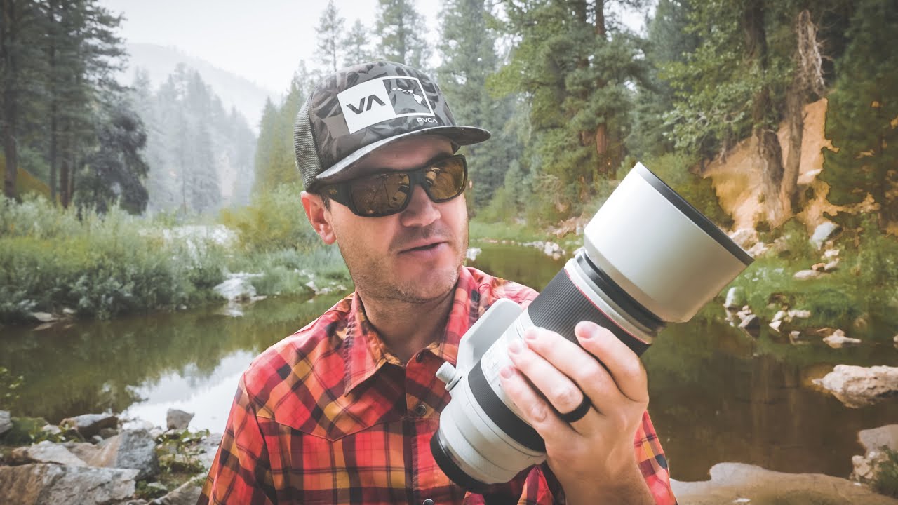 Canon RF 100-400mm Wildlife Photography Samples