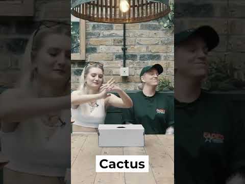 What's In The Box? - Jess Bays & Poppy Baskcomb Teaser