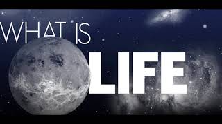 What Is Life Music Video