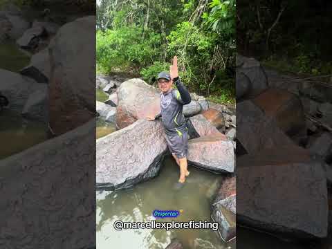 DESCOBERTA IMPRESSIONANTE EM CAROEBE - RORAIMA - BRASIL