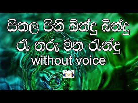 Seethala Pini Bindu Bindu Karaoke (Without Voice) සීතල පිණි බිංදු බිංදු