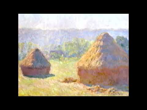 Jordan’s Sound Effects Compilation No.228: FLIES AND BIRDS ENVIRONMENT, AMBIENCE, INSECT, DIGIFFECTS