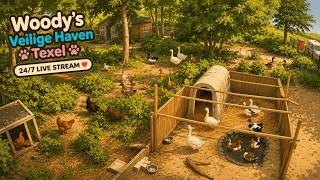 Animal spycam | Woody's Veilige Haven Texel | Tuin | 24/7 Livestream