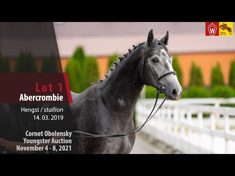 Youngster Auktion Lot 01 Abercrombie Hengst v. Air Jordan - Cornet Obolensky