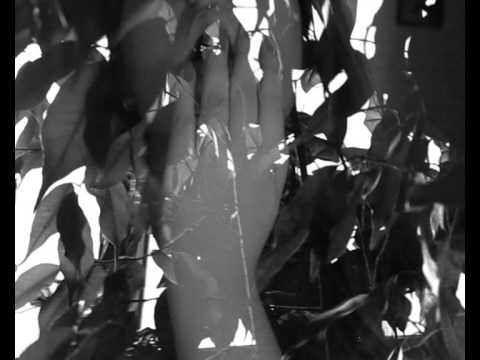 Gnegnec’s Video 32188124756 _lJn4fn4OHM