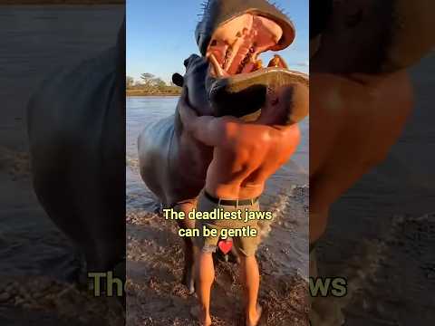 Trusting The Incredible Wild Animals