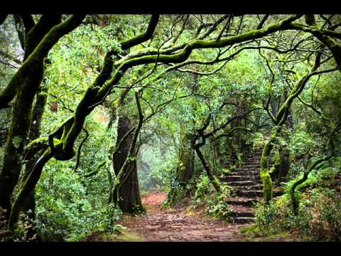 Liszt - Ave Maria d' Arcadelt