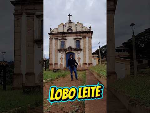 Lobo leite. História viva.