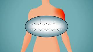 Self Treat Your Pain