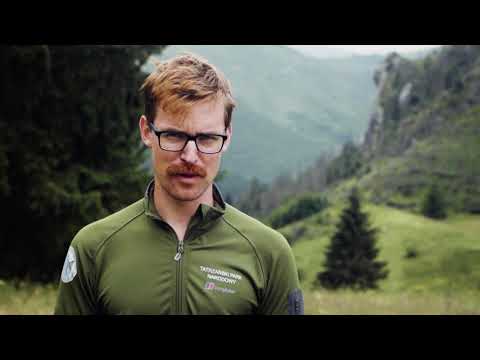 Through the Wild Eye – Tatra quarries