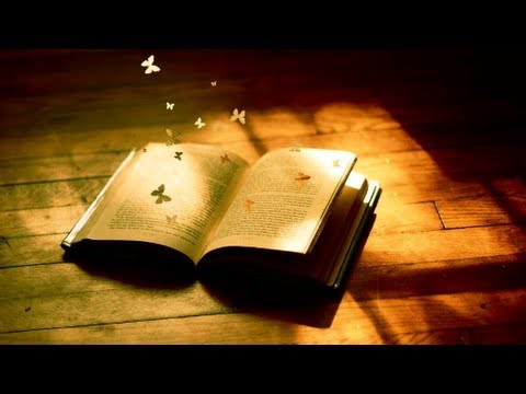 SCHILLER GHOST  FEAT KATE HAVNEVIK