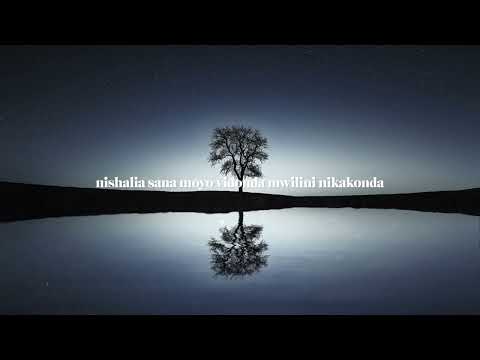 Buki - Ananichukia (Audio Lyrics)