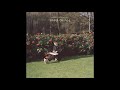 Lukas Pilkauskas - Sodų Dainos