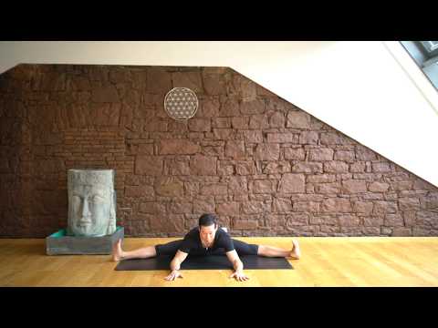 66 Spreizsitz Der Yoga Coach by Stephan Suh
