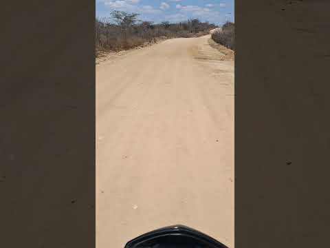 o caminho do patamute  a uaua Bahia...