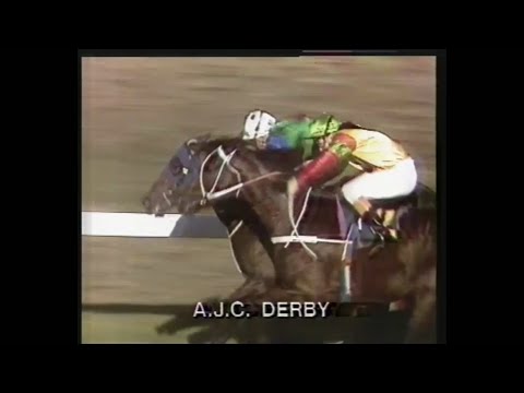 1981 AJC Derby Our Paddy Boy