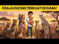 Penjelasan Setiap Spesies Kucing Besar Di Dunia Hewan