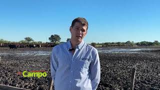 Med. Vet. Ignacio Sponton | El Choli S.A. apuesta ganadera con valor agregado