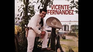 La primera caricia 💙  Vicente Fernández