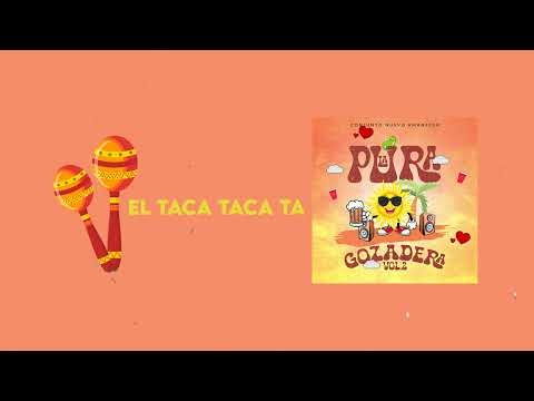 Te Gusta El Taaa (El Taca Taca Ta) - Conjunto Nuevo Amanecer