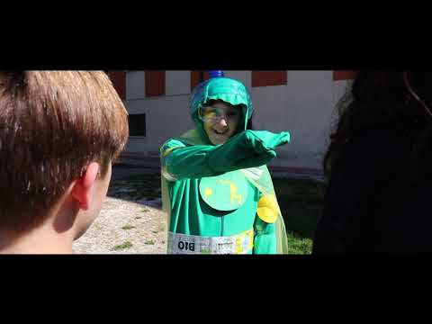 Videotelling 2B Copparo