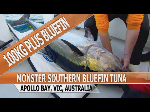 Fishing Edge episode - Giant 100kg+ Southern Bluefin Tuna
