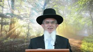 דרך השם רמח"ל I חלק ב - פרק 5, באופן ההשגחה I הרה"ג יוסף הללויה שליט"א I שיעור 113