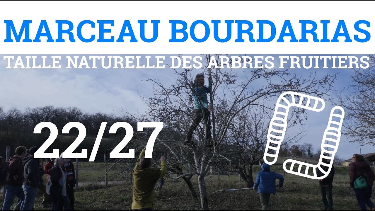 22/27 - M.BOURDARIAS - Taille Naturelle des Arbres Fruitiers - Pommier