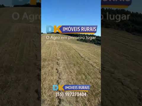 🚜 Arrendamento Rural no RS | Áreas de 200 a 4.500 Hectares 🌾