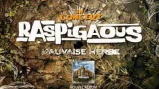 Raspigaous - MP3 (Album : Mauvaise herbe - 2005)