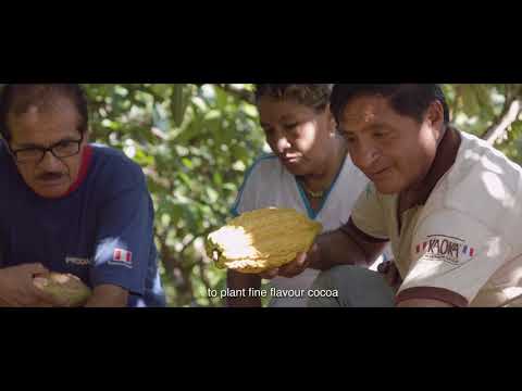 KAOKA : The Homeland of Cocoa - Peru