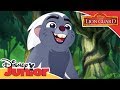 The Lion Guard On Safari With Bunga Official Disney Junior Africa