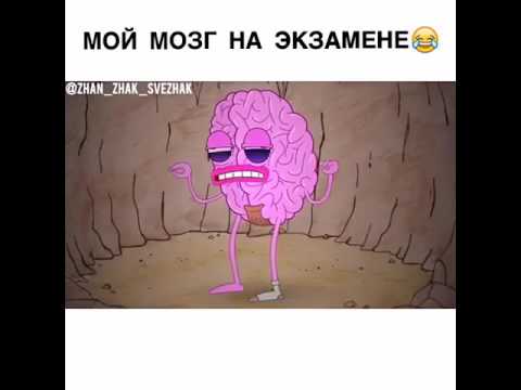 Мой мозг на экзамене
