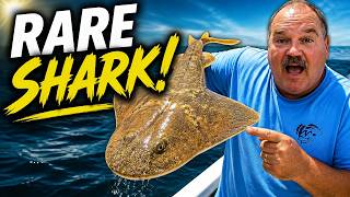 Weird Catch: We Hooked a Rare Protected Shark!