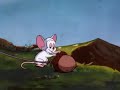 Pinky And The Brain Brain S Childhood And Origin Sad Scene