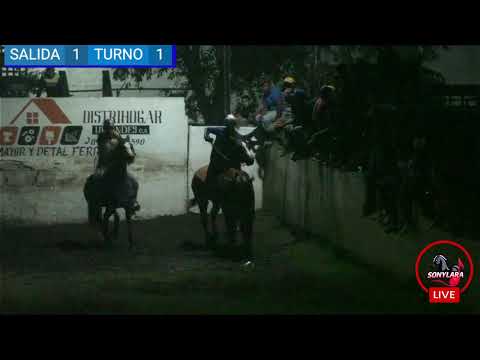 MANO A MANO DE COLEO GUANARITO 2025