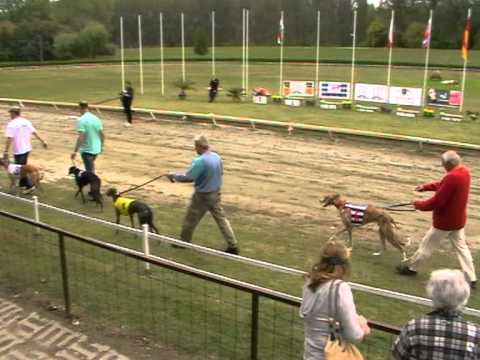 European Derby 2nd semifinal 492m MIX OR greyhound