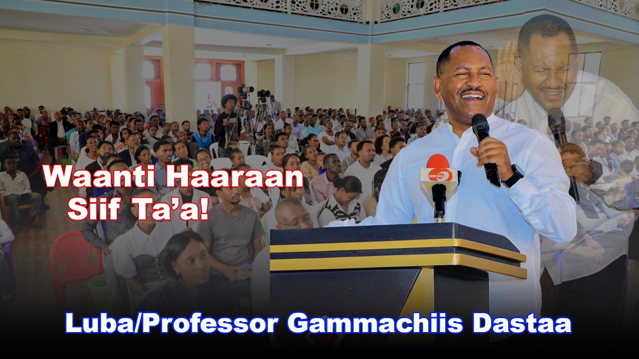 Waanti Haaraan Siif Ta'a! Luba/Professor Gammachiis Dastaa