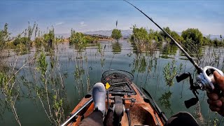 Going back to the basics (Impromptu fishing trip)