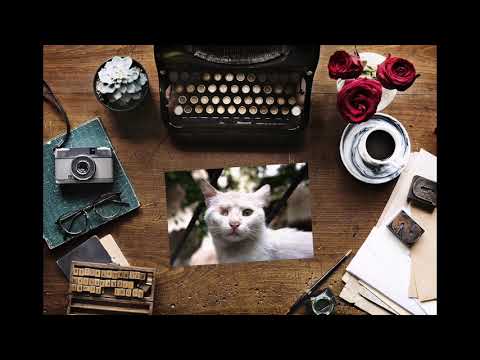 Уродливый кот