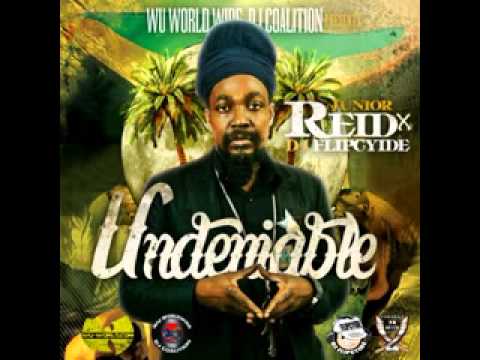 Junior Reid   Real OG Undeniable Mixtape