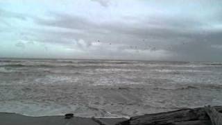 preview picture of video 'Pacific Ocean from beach along Highway 101 in Washington State'