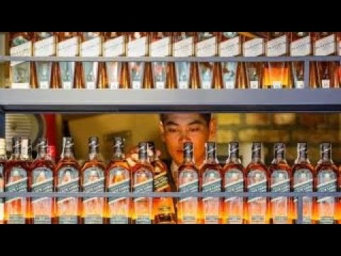 download lagu mp3 mp4 Jane Walker For Sale, download lagu Jane Walker For Sale gratis, unduh video klip Jane Walker For Sale