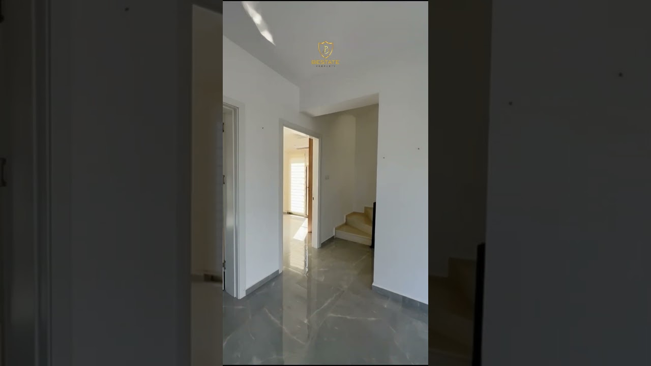 video image