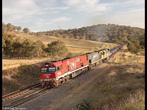 Pacific Nationals 2YN2 Steel - NR74, NR66 and AN9