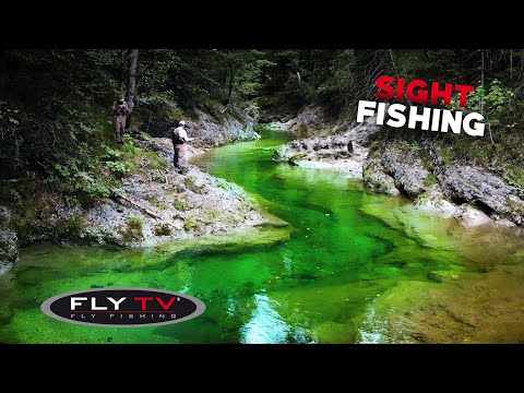 FLY TV - Fliegenfischen auf Sicht in den Alpen 🇦🇹