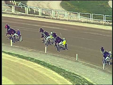 Trotto 05/11/2015 - prova di qualifica